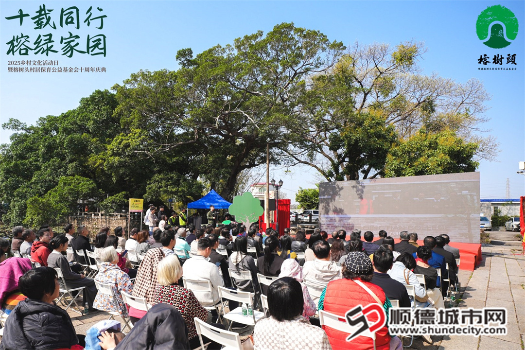 大会照片.jpg