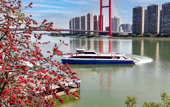1.顺德客运港.jpg