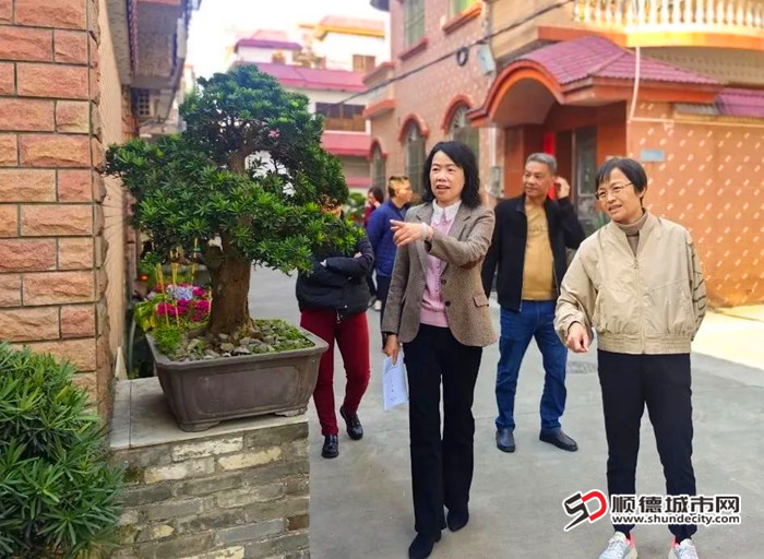调研乐从镇沙边村松趣园。.jpg