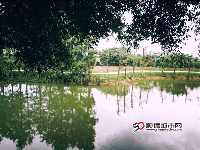 微信图片_20250324224311.png