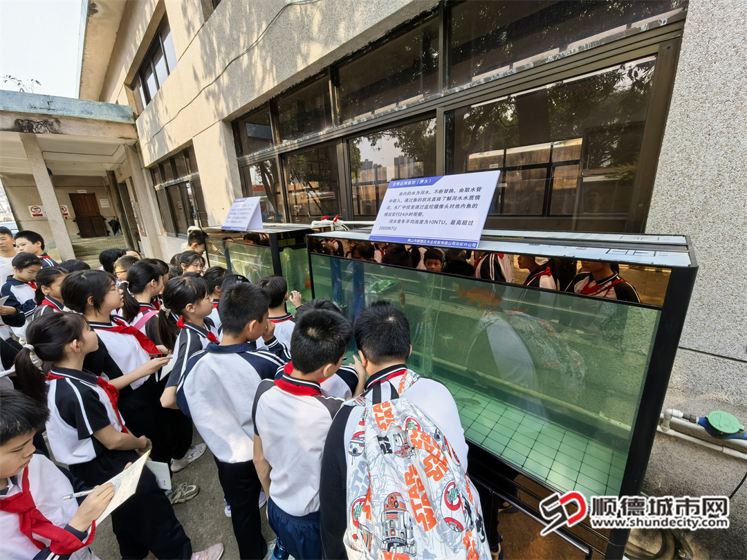 仓门小学学生围观生物池.jpg