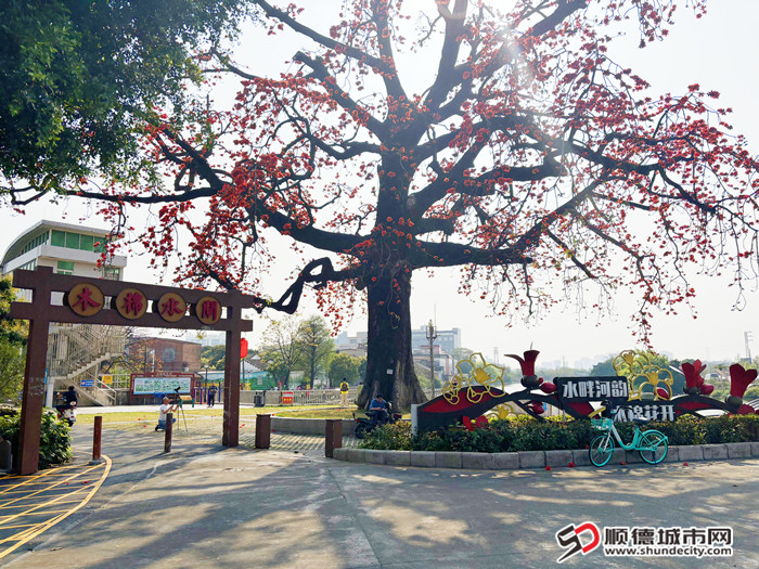 微信图片_20250324161534_副本.jpg