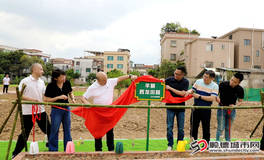 微信图片_20250420131127_副本.jpg
