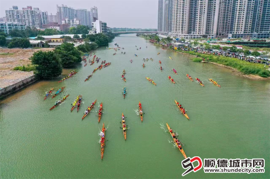 均安凫洲河往年龙舟赛事场景。（摄影：甘培田） (2)(1).jpg