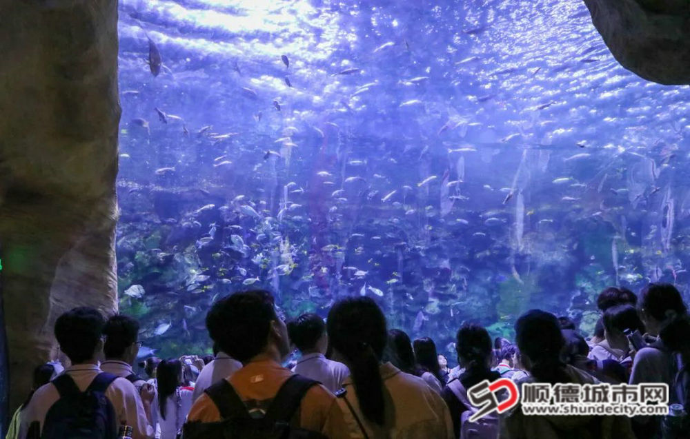 微信图片_20250428202327_副本.jpg