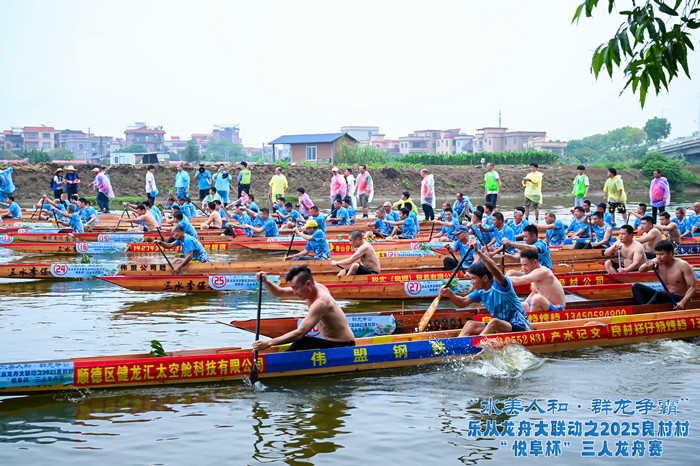 d94db20250501173116833321.jpg