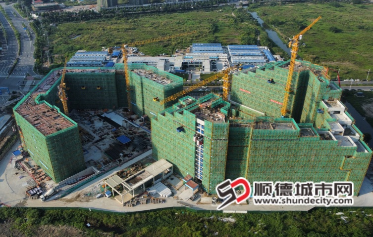 微信图片_20250519195738_副本.jpg