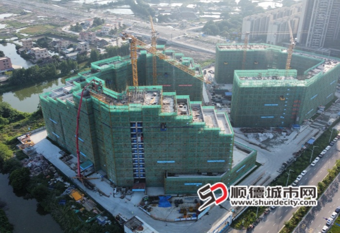 微信图片_20250519195800_副本.jpg