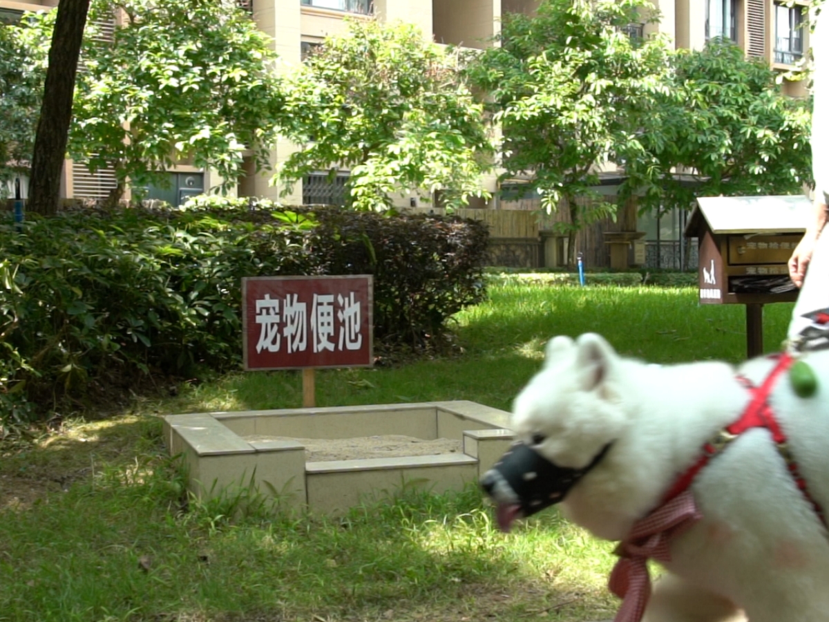 微信图片_20250520191754_副本.jpg