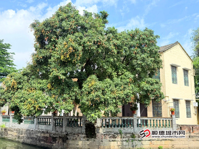 翻新改造后的村委会旧址。.jpg