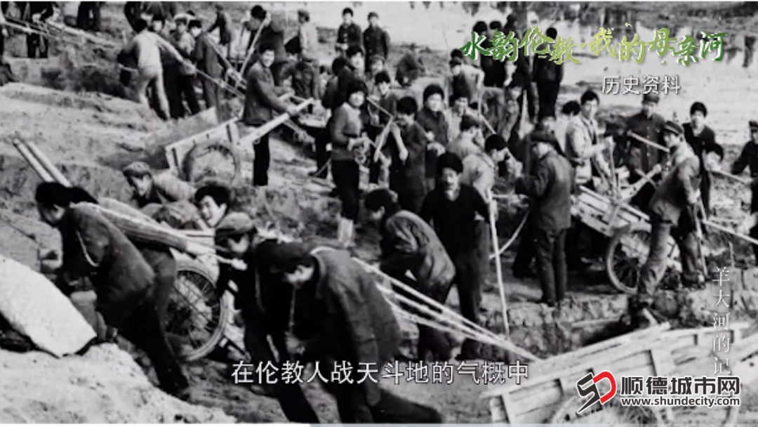 微信图片_20250528110747.png