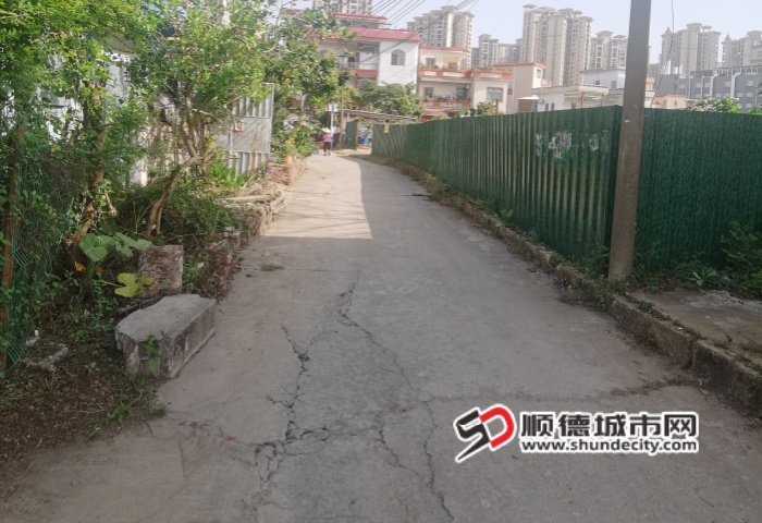 微信图片_20250529190726_副本.jpg