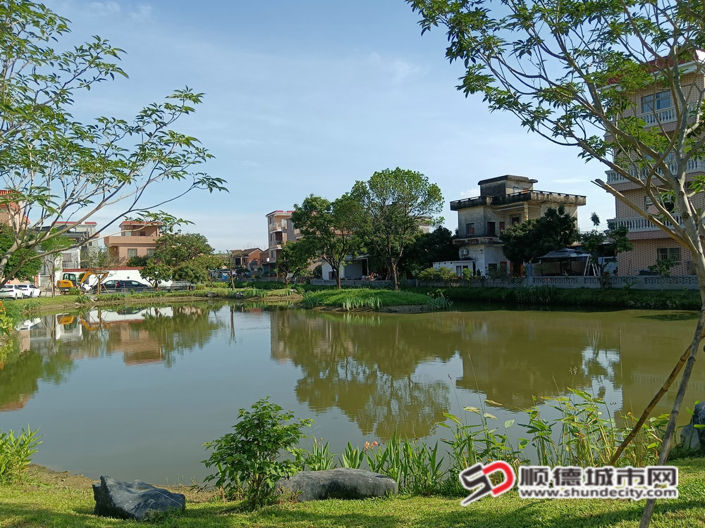 微信图片_2025-06-09_102624_864_副本.jpg