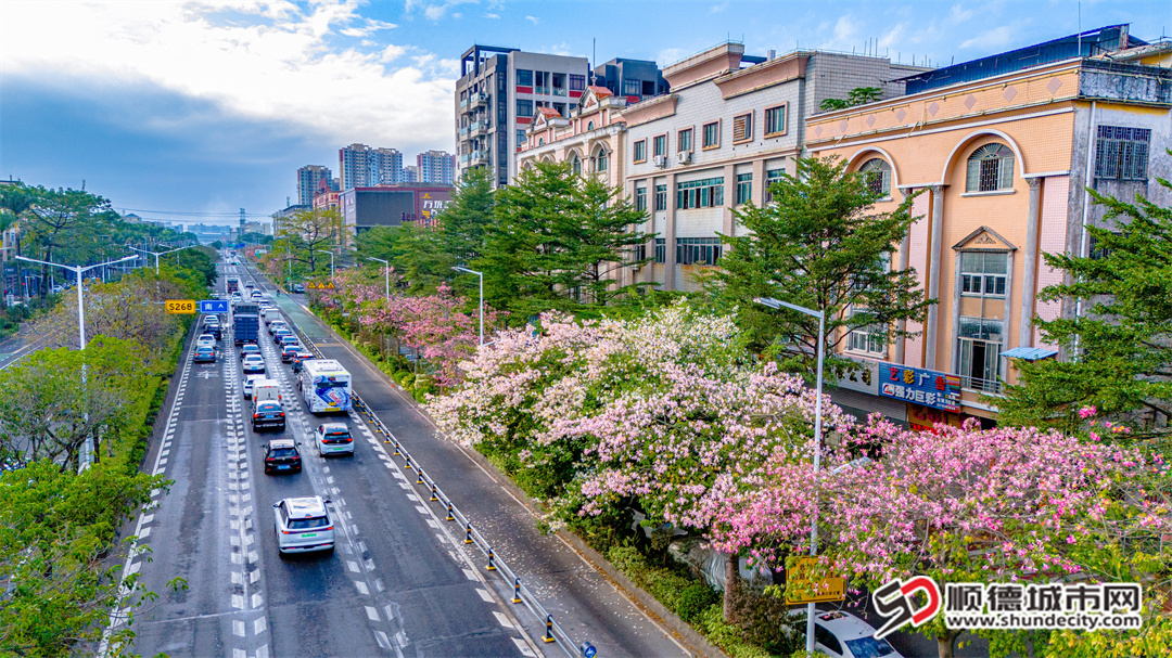 百安路仓门段。（摄影：甘培田）.jpg