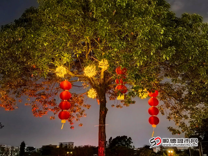 灯饰亮化街景。.jpg