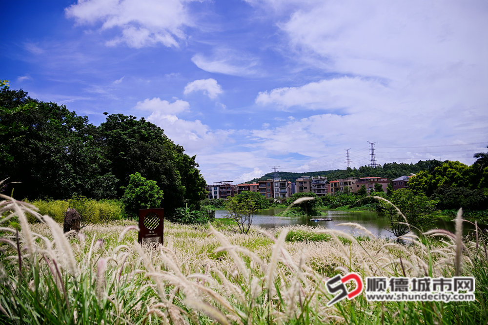 马彦良——左滩村景_副本.jpg