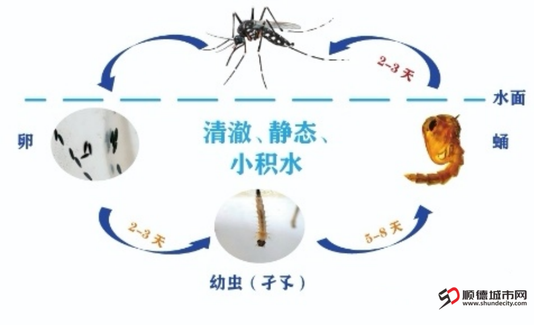 微信图片_20250702181046.png
