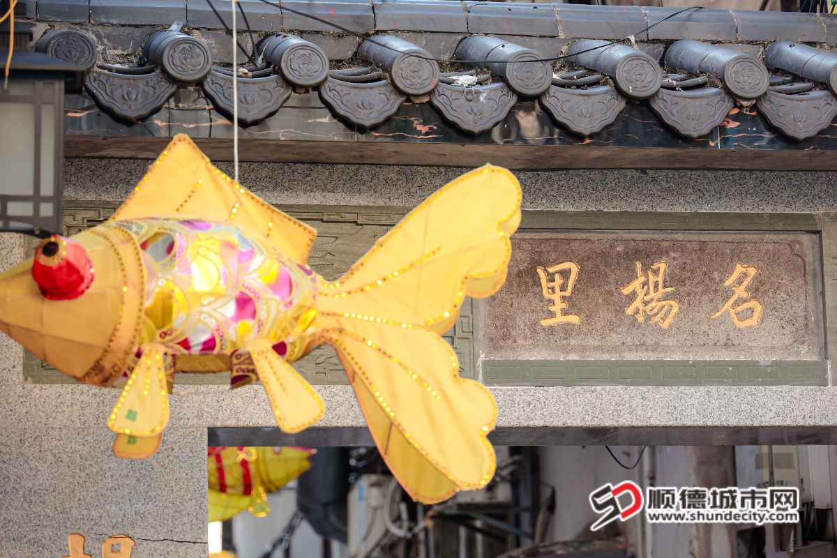 IMGL1289_副本.jpg