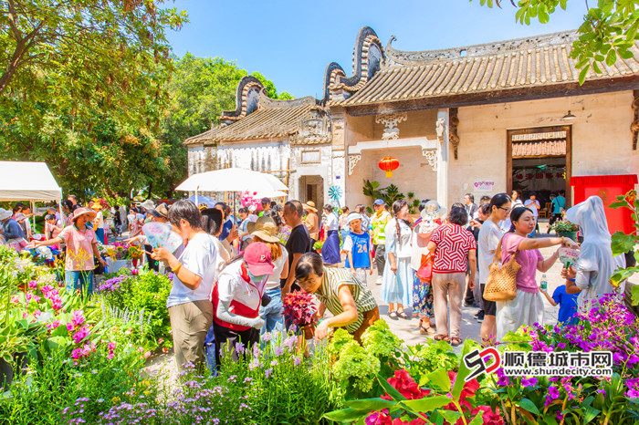 趁花墟，添绿美。.jpg