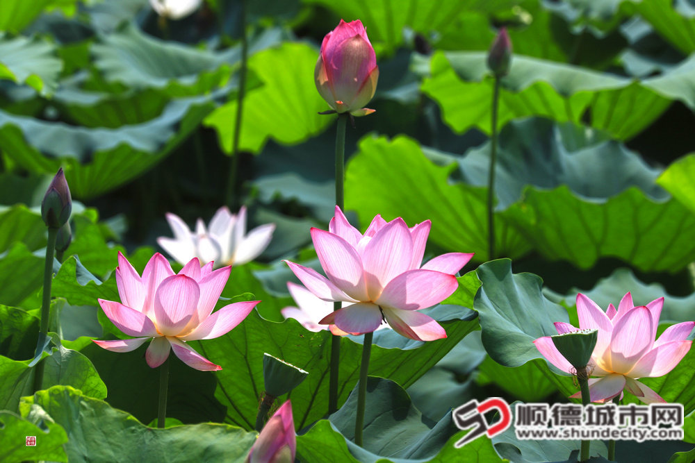 321DD0418AF8200E5834D2FB8E35E103_副本.JPG