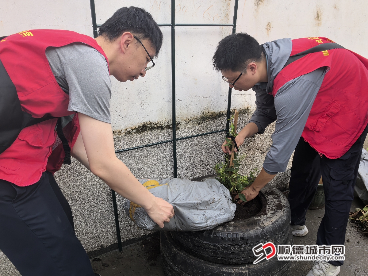 IMG_20250619_172411_副本.jpg
