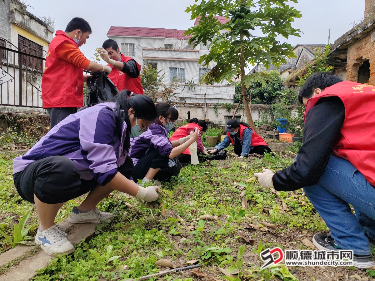 2.25北区社区联动双百社工、凤城融爱家园社工和学员到锦岩公园菜地除草_副本.jpg