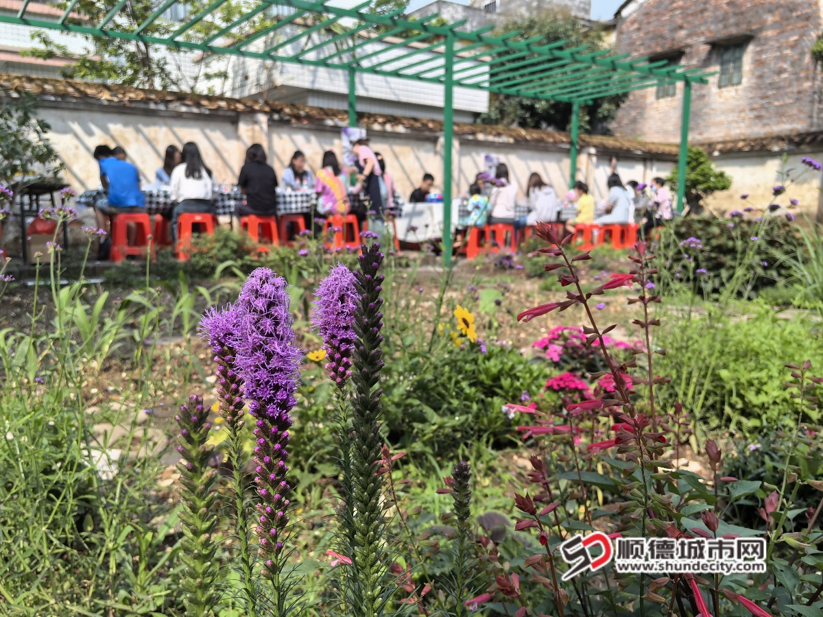 在幸福园开展园艺疗愈活动_副本.jpg
