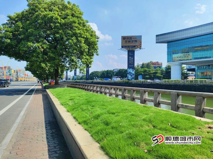 佛山大道改造后。.jpg