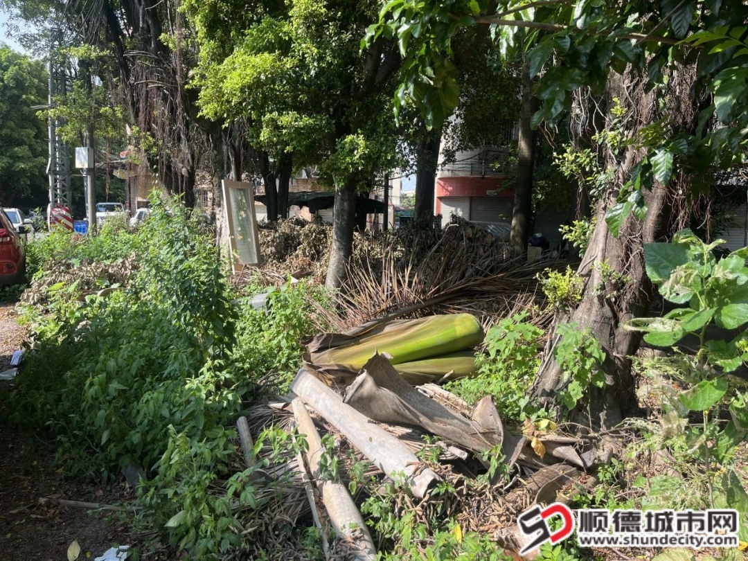 扁3.jpg