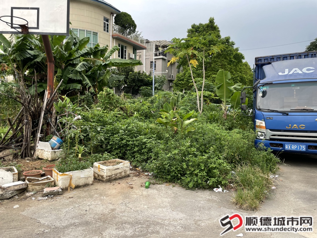 清理前.jpg