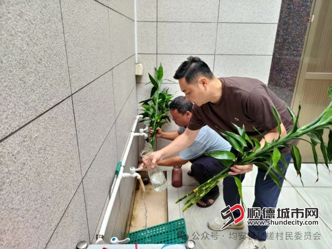 微信图片_20250723215555.jpg