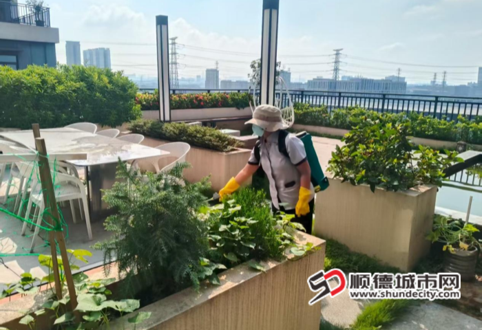 图片10_副本.png