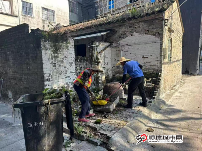 图片9_副本.png