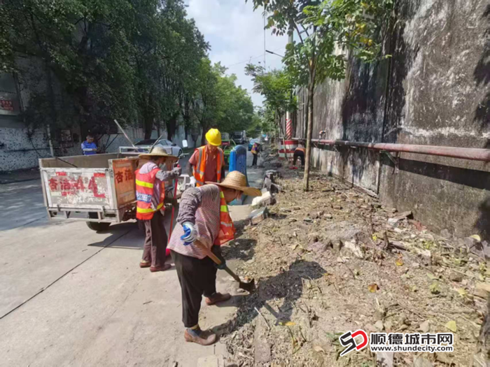图片13_副本.png