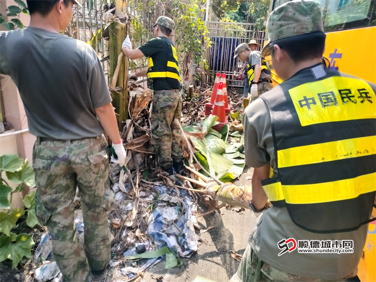 源头防控蚊媒传染病1.jpg