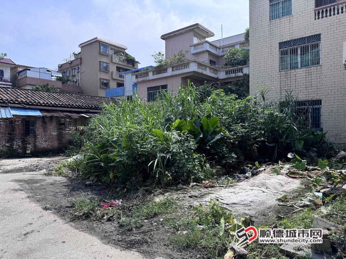 整治前_副本2.jpg