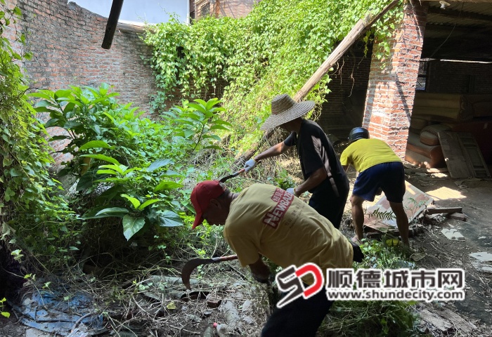微信图片_2025-07-29_191308_576_副本.jpg