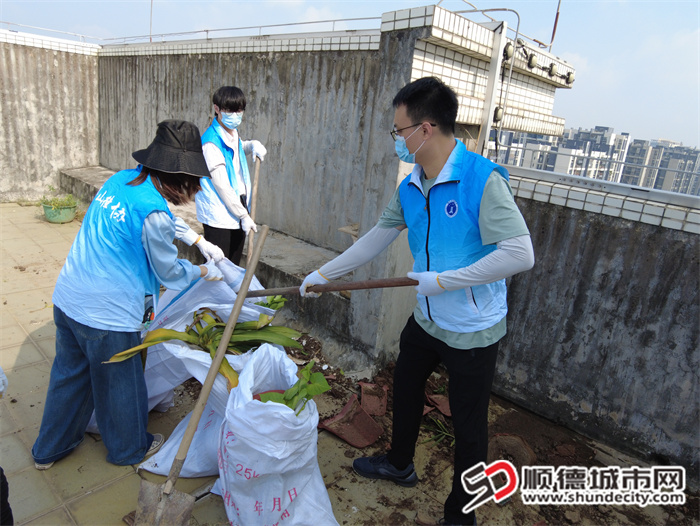出租屋联盟协会党支部书记李伟升在参加防蚊清洁行动1.jpg