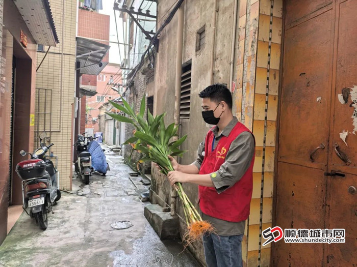 清理积水。.jpg
