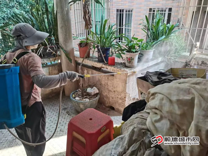 专业消杀。.jpg