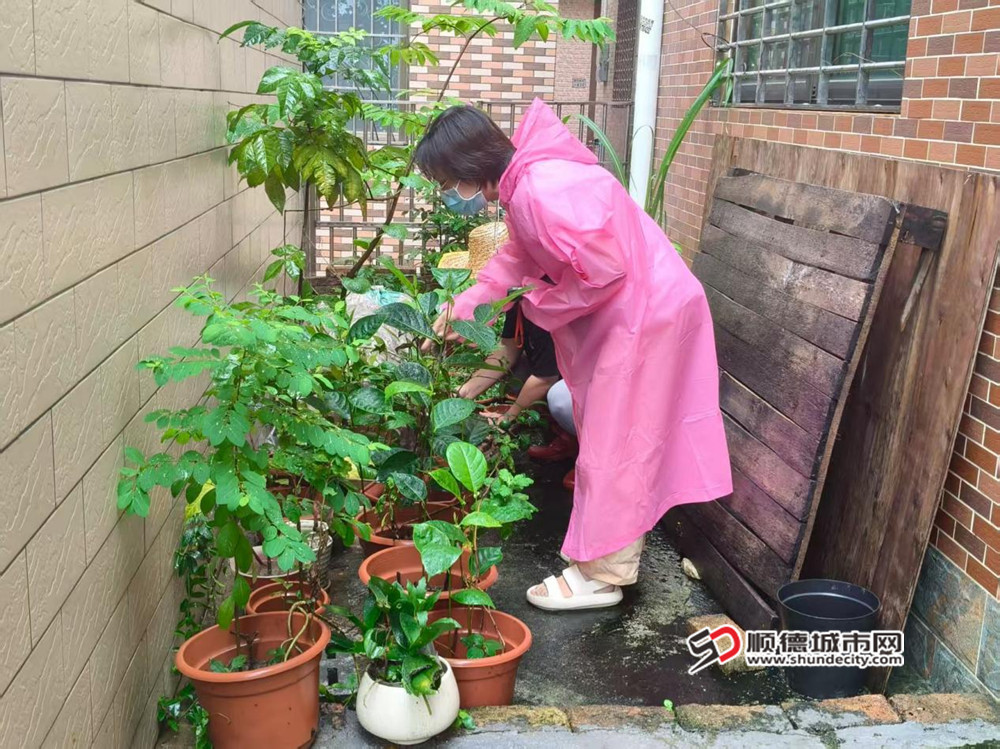 图片147_副本.jpg