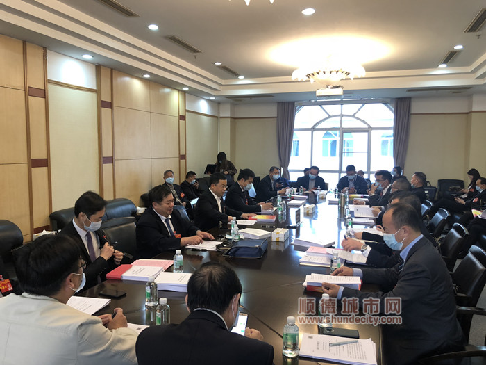 两会聚焦｜勒流代表团：力争半年时间完成连片“村改”整理