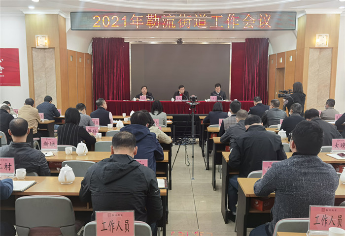 顺德中部“雄狮腾飞”，勒流发展正当时