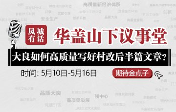 凤城有话：大良如何高质量写好村改“后半篇文章”？