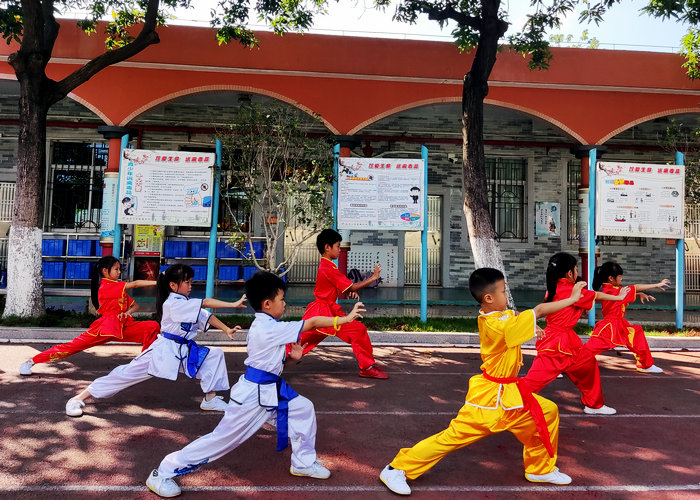 佛山将创建超百所武术特色学校！