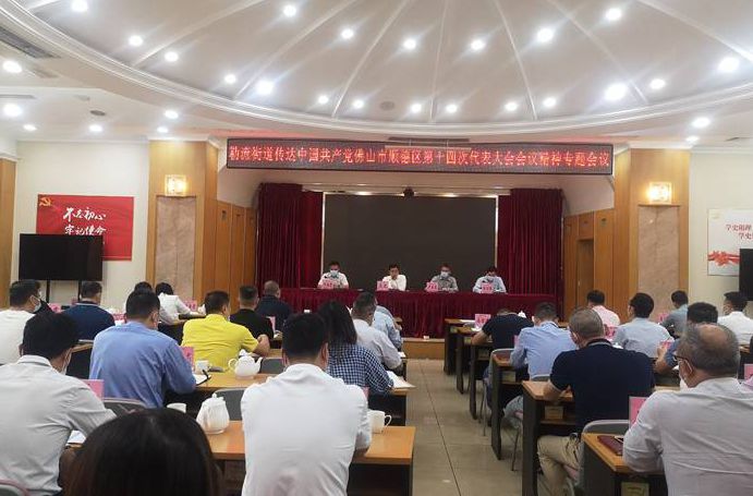 抓落实，勒流传达区第十四次党代会精神