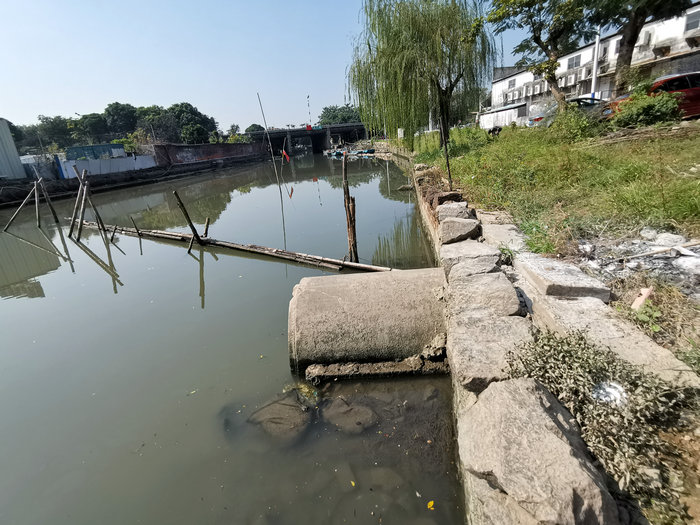 大良河为何“大放水”？城网君为你揭秘！