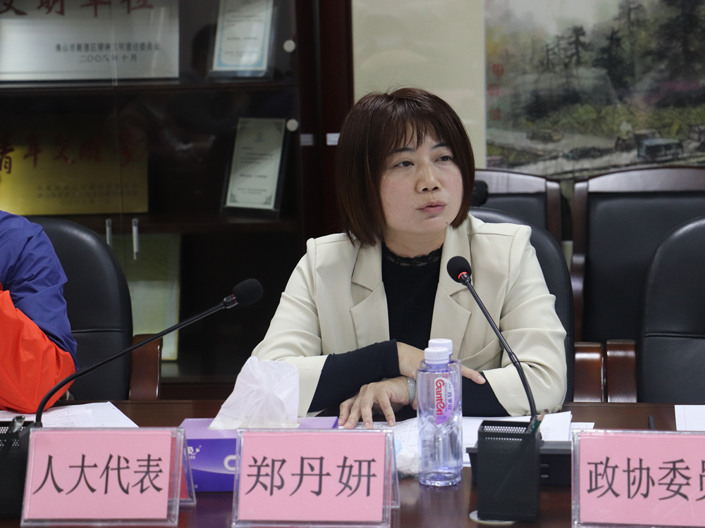 人大代表针对项目情况和预算情况提出自己的意见和建议