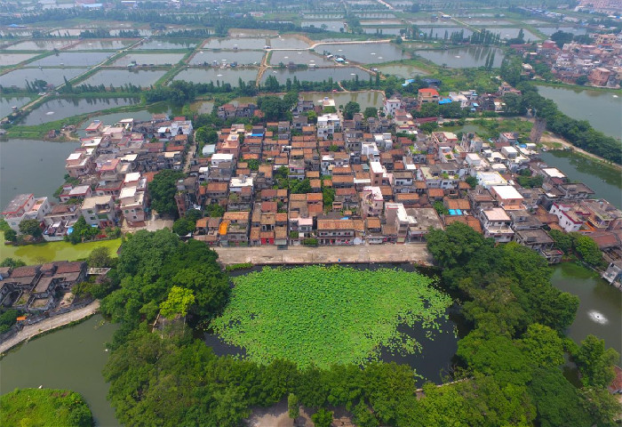 “青田范式”入选《中国乡村文化建设发展报告蓝皮书》