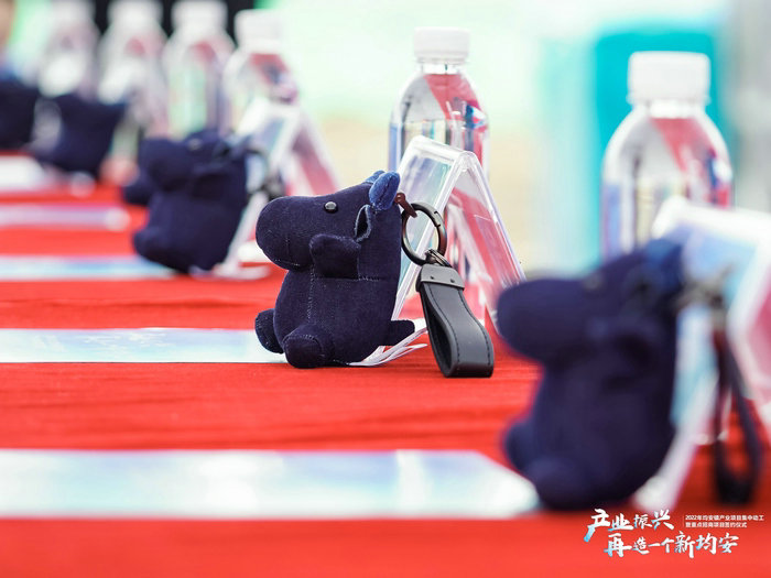 出生湾区之心的“牛仔”有多酷？城网君带你了解一下！